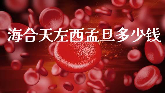 海合天左西孟旦多少钱_https://www.lcjysmgs.com_德指行情直播_第1张