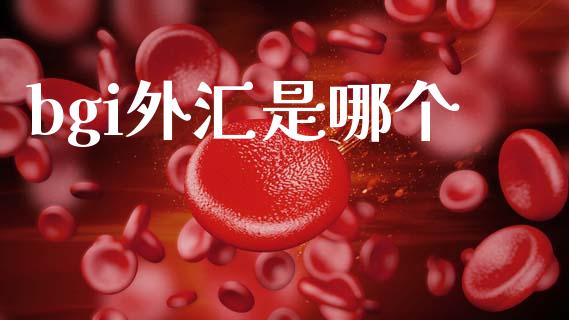 bgi外汇是哪个_https://www.lcjysmgs.com_恒指直播平台_第1张