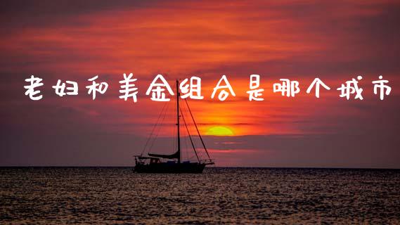老妇和美金组合是哪个城市_https://www.lcjysmgs.com_黄金期货直播喊单_第1张