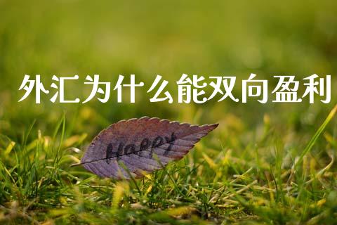 外汇为什么能双向盈利_https://www.lcjysmgs.com_恒指直播平台_第1张