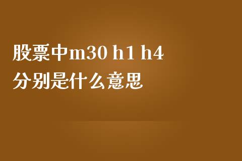 股票中m30 h1 h4分别是什么意思_https://www.lcjysmgs.com_恒生指数直播_第1张