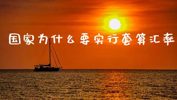 国家为什么要实行套算汇率_https://www.lcjysmgs.com_恒指直播平台_第1张