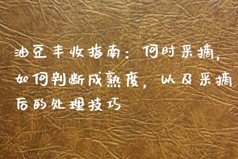 油豆丰收指南：何时采摘，如何判断成熟度，以及采摘后的处理技巧_https://www.lcjysmgs.com_恒指直播平台_第1张
