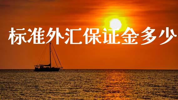 标准外汇保证金多少_https://www.lcjysmgs.com_恒指直播平台_第1张