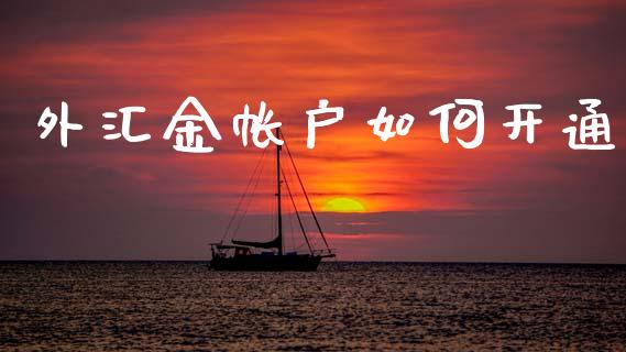 外汇金帐户如何开通_https://www.lcjysmgs.com_恒生指数直播_第1张