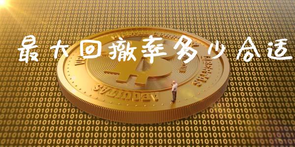 最大回撤率多少合适_https://www.lcjysmgs.com_恒指直播平台_第1张