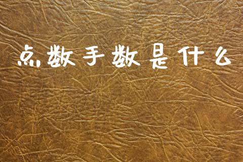 点数手数是什么_https://www.lcjysmgs.com_恒生指数直播_第1张