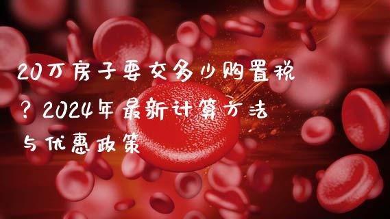 20万房子要交多少购置税？2024年最新计算方法与优惠政策_https://www.lcjysmgs.com_德指行情直播_第1张