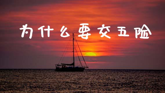 为什么要交五险_https://www.lcjysmgs.com_恒指直播平台_第1张