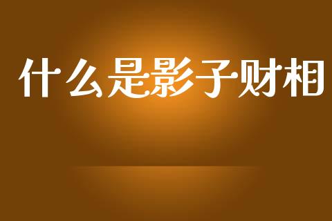 什么是影子财相_https://www.lcjysmgs.com_德指行情直播_第1张