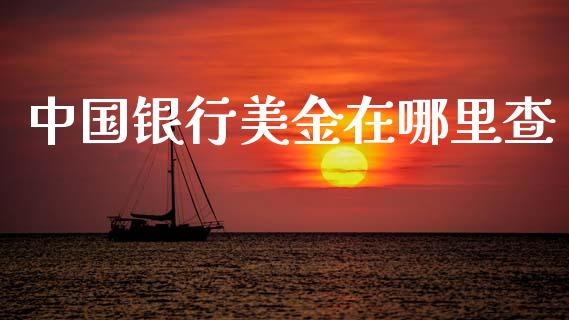 中国银行美金在哪里查_https://www.lcjysmgs.com_黄金期货直播喊单_第1张