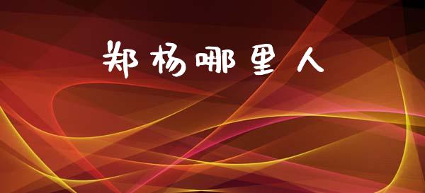 郑杨哪里人_https://www.lcjysmgs.com_恒生指数直播_第1张