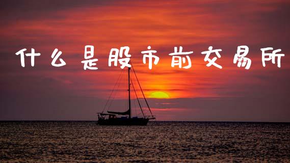 什么是股市前交易所_https://www.lcjysmgs.com_德指行情直播_第1张