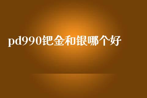 pd990钯金和银哪个好_https://www.lcjysmgs.com_恒生指数直播_第1张