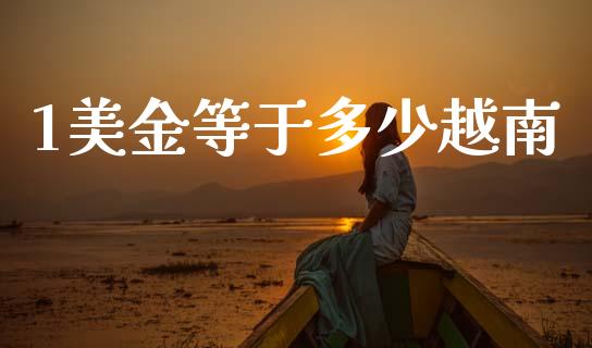 1美金等于多少越南_https://www.lcjysmgs.com_恒指直播平台_第1张