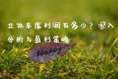 立体车库利润有多少？深入分析与盈利策略_https://www.lcjysmgs.com_恒指直播平台_第1张