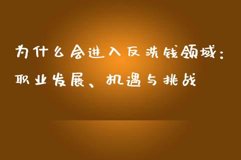 为什么会进入反洗钱领域：职业发展、机遇与挑战_https://www.lcjysmgs.com_恒生指数直播_第1张