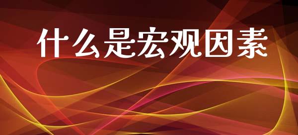 什么是宏观因素_恒指直播平台_第1张_恒生指数直播_恒指直播平台_德指行情直播_黄金期货直播喊单 什么是宏观因素_https://www.lcjysmgs.com_恒指直播平台_第1张