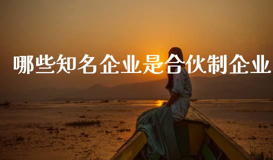 哪些知名企业是合伙制企业_https://www.lcjysmgs.com_恒指直播平台_第1张