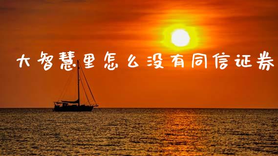 大智慧里怎么没有同信证券_https://www.lcjysmgs.com_恒生指数直播_第1张