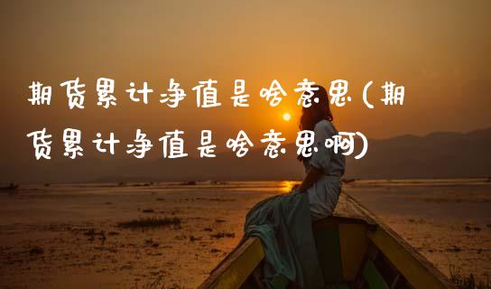 期货累计净值是啥意思(期货累计净值是啥意思啊)_https://www.lcjysmgs.com_德指行情直播_第1张