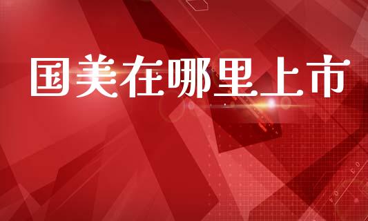 国美在哪里上市_https://www.lcjysmgs.com_德指行情直播_第1张