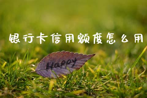 银行卡信用额度怎么用_https://www.lcjysmgs.com_恒指直播平台_第1张