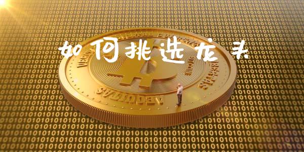 如何挑选龙头_恒生指数直播_第1张_恒生指数直播_恒指直播平台_德指行情直播_黄金期货直播喊单 如何挑选龙头_https://www.lcjysmgs.com_恒生指数直播_第1张