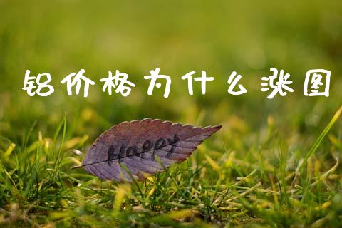 铝价格为什么涨图_https://www.lcjysmgs.com_德指行情直播_第1张