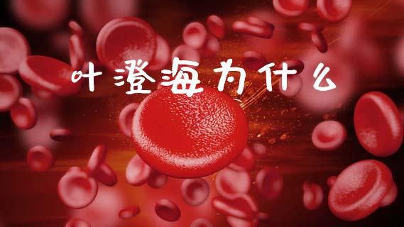 叶澄海为什么_https://www.lcjysmgs.com_黄金期货直播喊单_第1张
