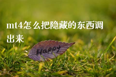 mt4怎么把隐藏的东西调出来_https://www.lcjysmgs.com_德指行情直播_第1张