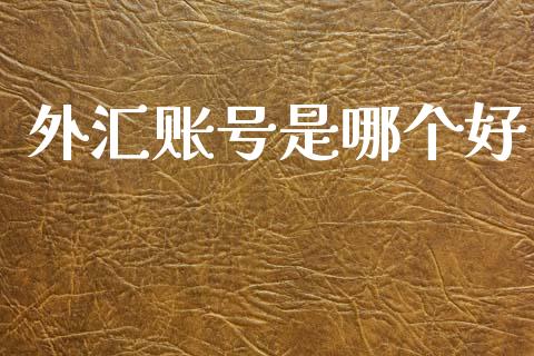 外汇账号是哪个好_https://www.lcjysmgs.com_德指行情直播_第1张