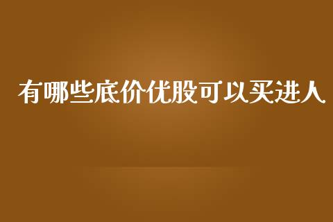 有哪些底价优股可以买进人_https://www.lcjysmgs.com_德指行情直播_第1张