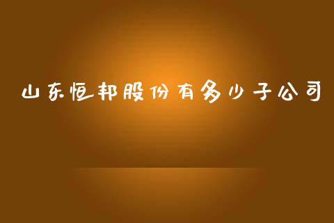 山东恒邦股份有多少子公司_https://www.lcjysmgs.com_黄金期货直播喊单_第1张