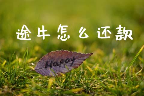 途牛怎么还款_https://www.lcjysmgs.com_德指行情直播_第1张