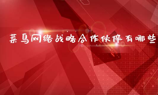菜鸟网络战略合作伙伴有哪些_https://www.lcjysmgs.com_恒生指数直播_第1张