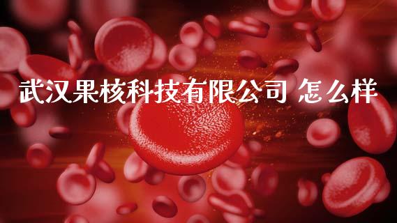 武汉果核科技有限公司 怎么样_https://www.lcjysmgs.com_黄金期货直播喊单_第1张