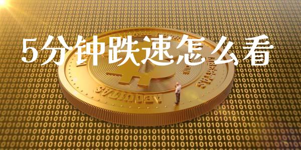 5分钟跌速怎么看_https://www.lcjysmgs.com_黄金期货直播喊单_第1张