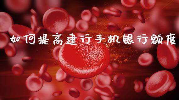 如何提高建行手机银行额度_https://www.lcjysmgs.com_恒指直播平台_第1张