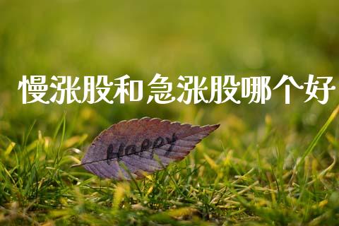 慢涨股和急涨股哪个好_https://www.lcjysmgs.com_德指行情直播_第1张