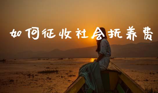 如何征收社会抚养费_https://www.lcjysmgs.com_黄金期货直播喊单_第1张