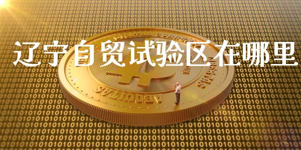 辽宁自贸试验区在哪里_https://www.lcjysmgs.com_黄金期货直播喊单_第1张