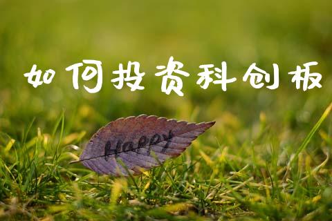 如何投资科创板_https://www.lcjysmgs.com_恒生指数直播_第1张