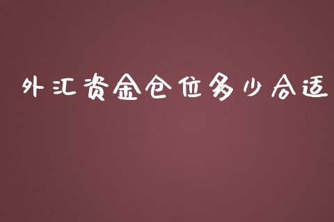 外汇资金仓位多少合适_https://www.lcjysmgs.com_恒生指数直播_第1张