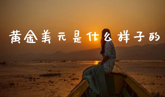 黄金美元是什么样子的_https://www.lcjysmgs.com_德指行情直播_第1张