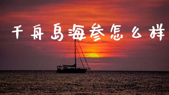 千舟岛海参怎么样_https://www.lcjysmgs.com_黄金期货直播喊单_第1张