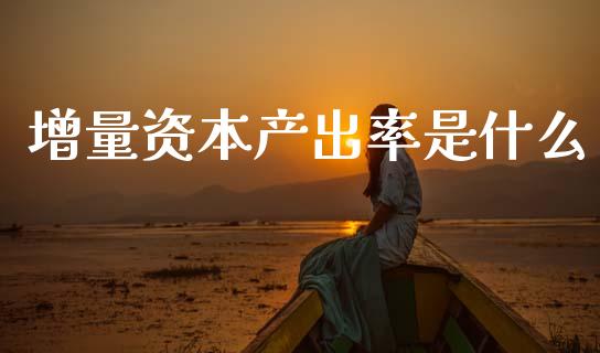 增量资本产出率是什么_https://www.lcjysmgs.com_德指行情直播_第1张