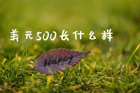 美元500长什么样_https://www.lcjysmgs.com_恒生指数直播_第1张