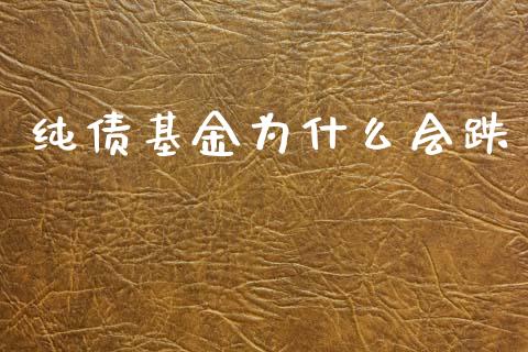 纯债基金为什么会跌_https://www.lcjysmgs.com_恒指直播平台_第1张