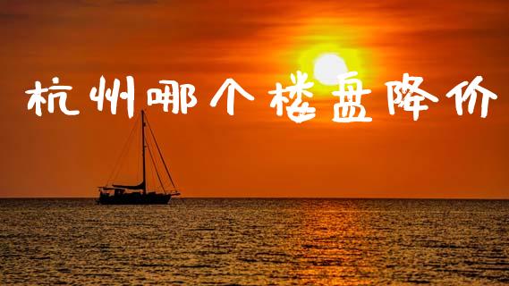 杭州哪个楼盘降价_https://www.lcjysmgs.com_黄金期货直播喊单_第1张